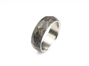 fat carbon ring with titanium